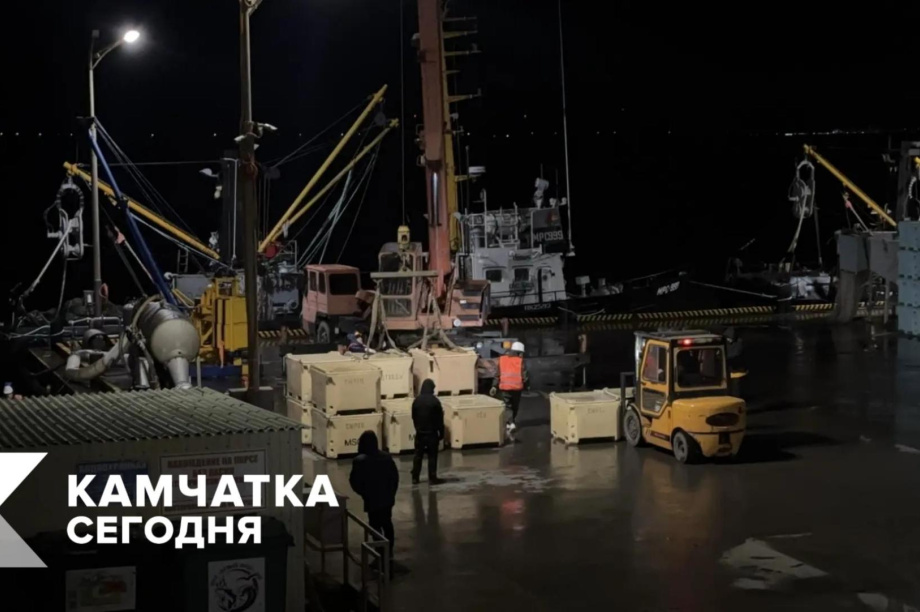 На Камчатке добыли 14 тонн лососей . . Фотография 4